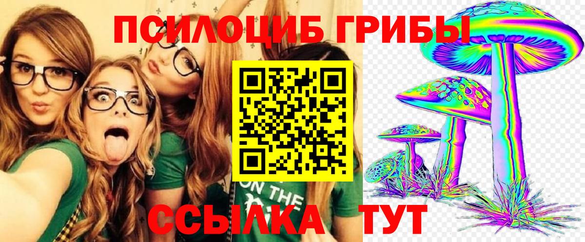 Галлюциногенные грибы Cubensis Вольск